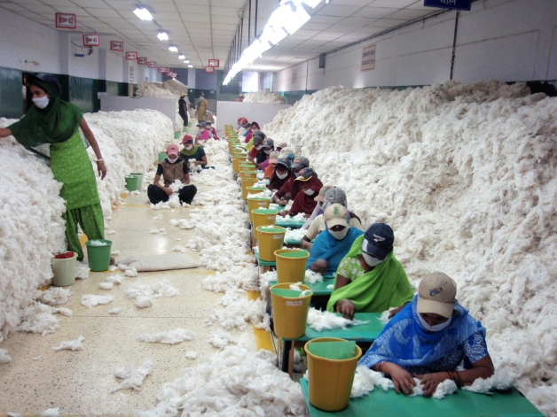 CSIRO_ScienceImage_10736_Manually_decontaminating_cotton_before_processing_at_an_Indian_spinning_mill.jpg